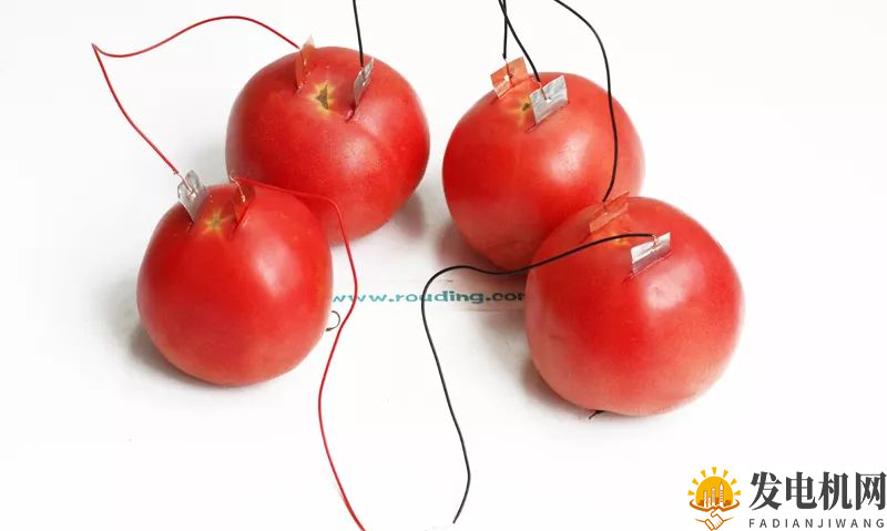 ❀【】水果发电儿童科学小实验 趣味水果蔬菜发电机DIY方法
