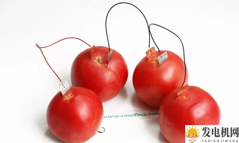 ❀【】水果发电儿童科学小实验 趣味水果蔬菜发电机DIY方法