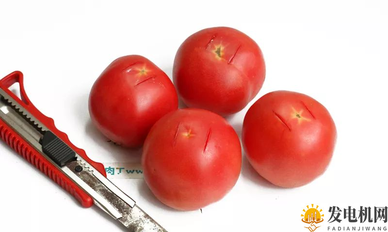 ❀【】水果发电儿童科学小实验 趣味水果蔬菜发电机DIY方法