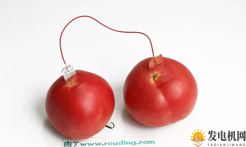 ❀【】水果发电儿童科学小实验 趣味水果蔬菜发电机DIY方法