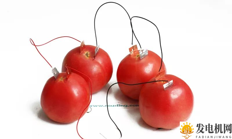 ❀【】水果发电儿童科学小实验 趣味水果蔬菜发电机DIY方法