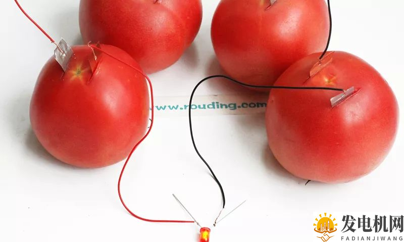 ❀【】水果发电儿童科学小实验 趣味水果蔬菜发电机DIY方法